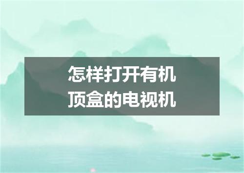 怎样打开有机顶盒的电视机