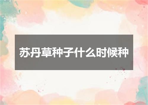 苏丹草种子什么时候种