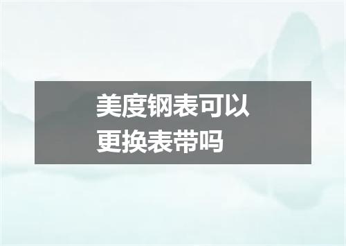 美度钢表可以更换表带吗