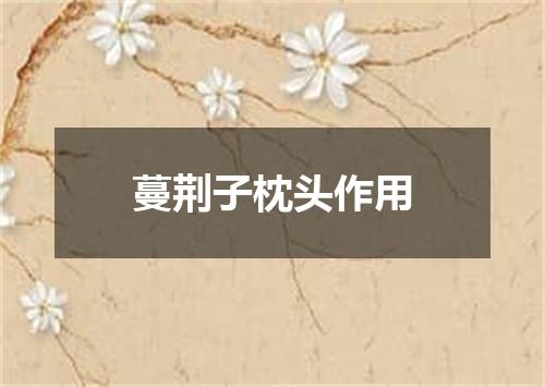 蔓荆子枕头作用