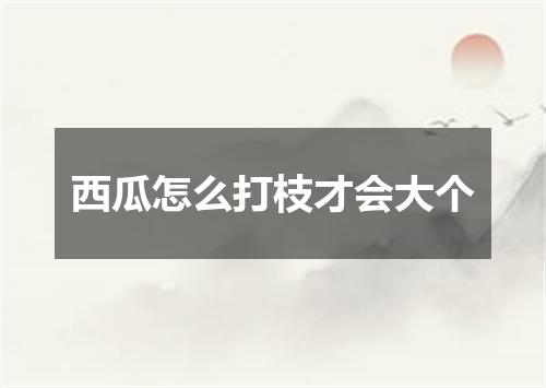 西瓜怎么打枝才会大个