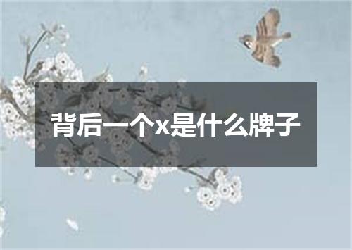 背后一个x是什么牌子