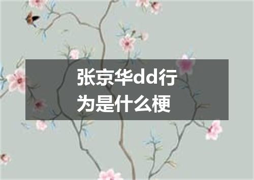 张京华dd行为是什么梗
