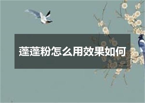 蓬蓬粉怎么用效果如何
