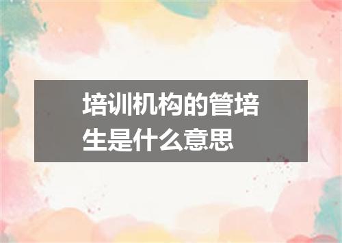培训机构的管培生是什么意思