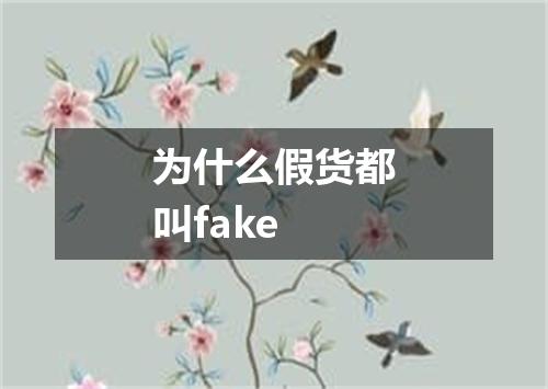 为什么假货都叫fake