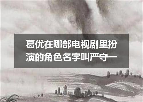 葛优在哪部电视剧里扮演的角色名字叫严守一