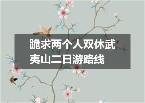 跪求两个人双休武夷山二日游路线