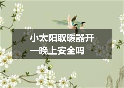 小太阳取暖器开一晚上安全吗