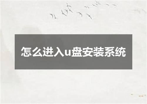 怎么进入u盘安装系统