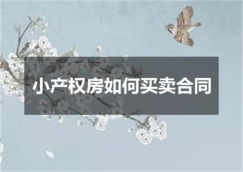 小产权房如何买卖合同
