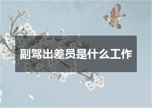 副驾出差员是什么工作