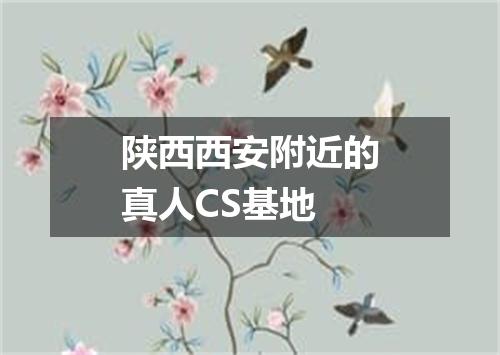 陕西西安附近的真人CS基地