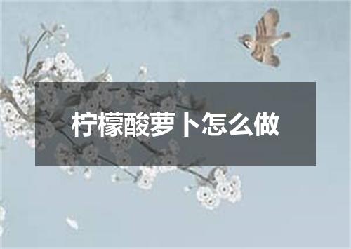 柠檬酸萝卜怎么做