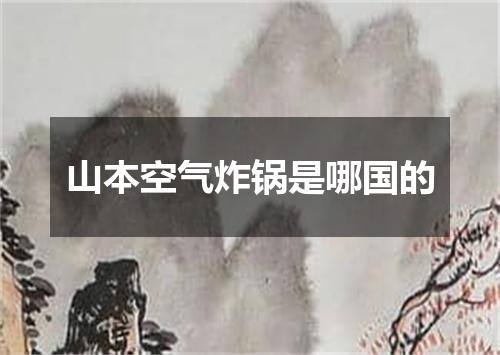 山本空气炸锅是哪国的