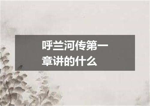 呼兰河传第一章讲的什么