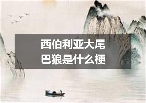 西伯利亚大尾巴狼是什么梗