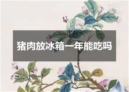 猪肉放冰箱一年能吃吗