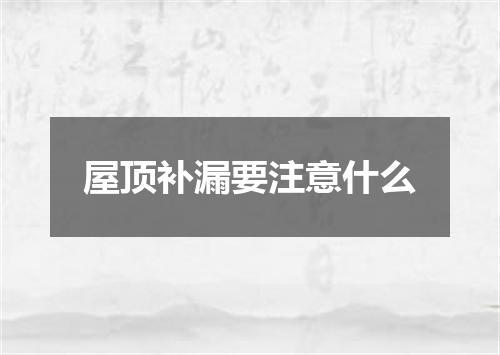 屋顶补漏要注意什么