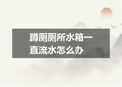 蹲厕厕所水箱一直流水怎么办
