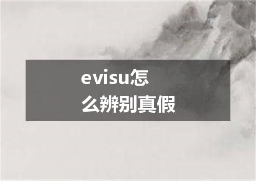 evisu怎么辨别真假