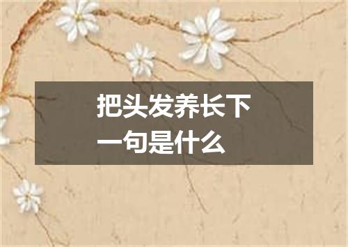 把头发养长下一句是什么