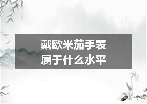 戴欧米茄手表属于什么水平