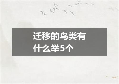 迁移的鸟类有什么举5个