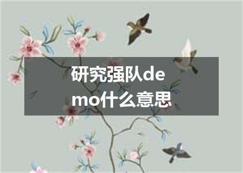 研究强队demo什么意思