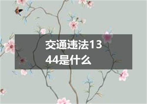 交通违法1344是什么