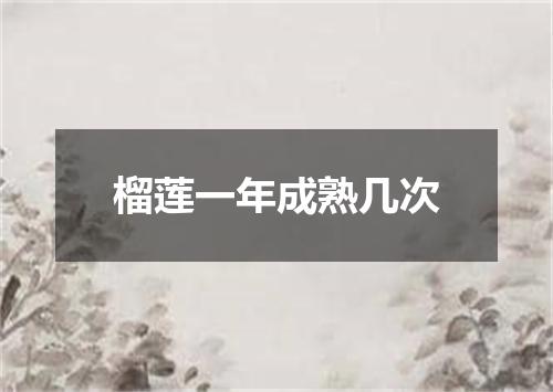 榴莲一年成熟几次