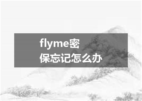 flyme密保忘记怎么办