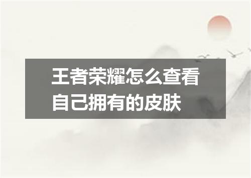王者荣耀怎么查看自己拥有的皮肤