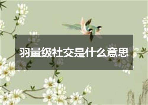 羽量级社交是什么意思