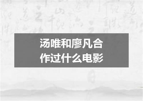 汤唯和廖凡合作过什么电影
