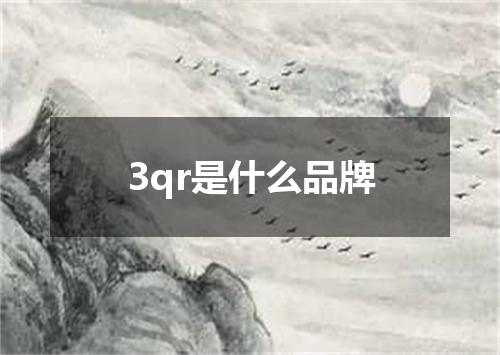 3qr是什么品牌