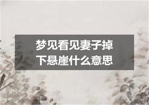 梦见看见妻子掉下悬崖什么意思