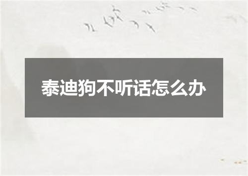 泰迪狗不听话怎么办