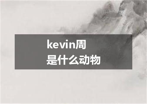 kevin周是什么动物