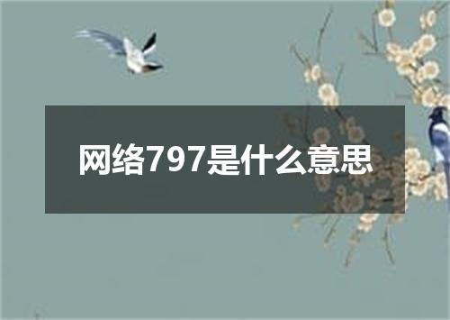 网络797是什么意思