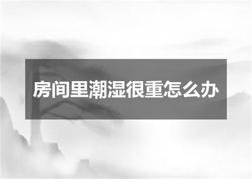 房间里潮湿很重怎么办