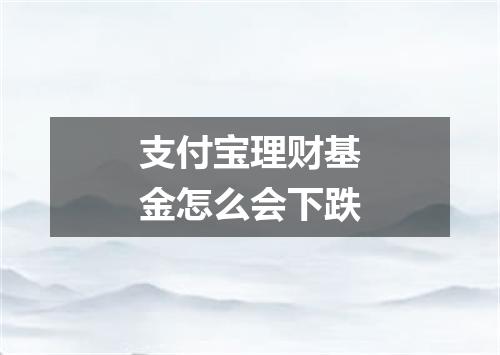支付宝理财基金怎么会下跌