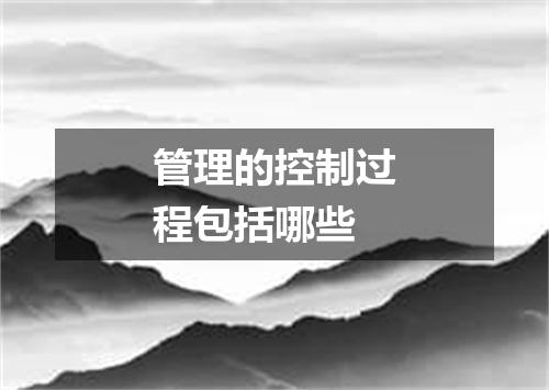 管理的控制过程包括哪些