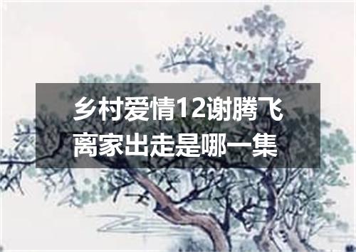 乡村爱情12谢腾飞离家出走是哪一集