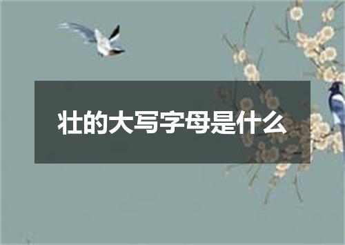 壮的大写字母是什么