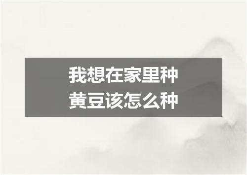 我想在家里种黄豆该怎么种