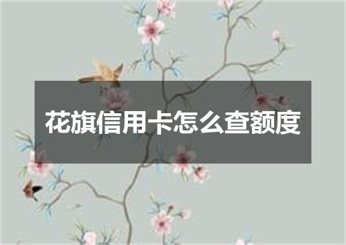 花旗信用卡怎么查额度