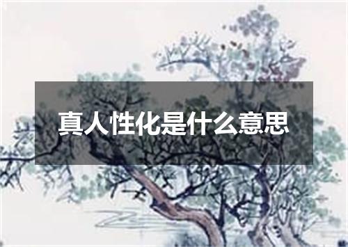 真人性化是什么意思