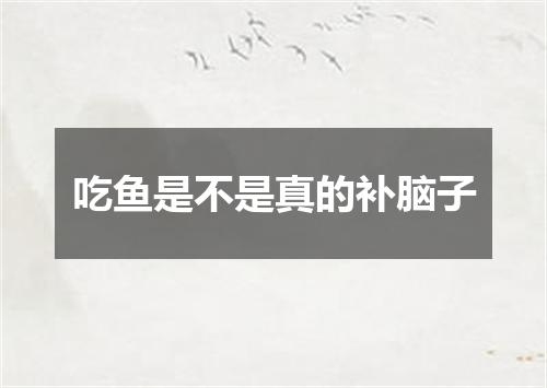 吃鱼是不是真的补脑子