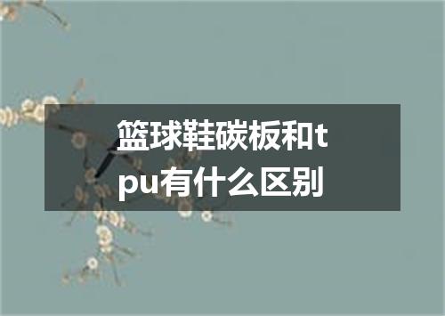 篮球鞋碳板和tpu有什么区别